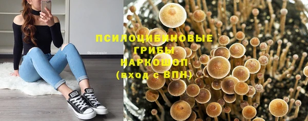 крисы Алексеевка