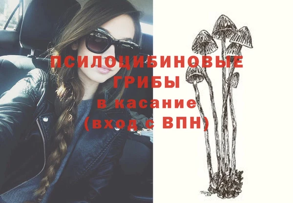бошки Алексин