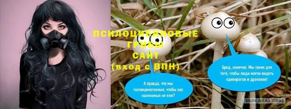 крисы Алексеевка